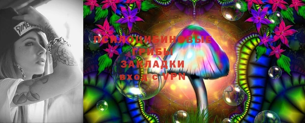 амф Беломорск